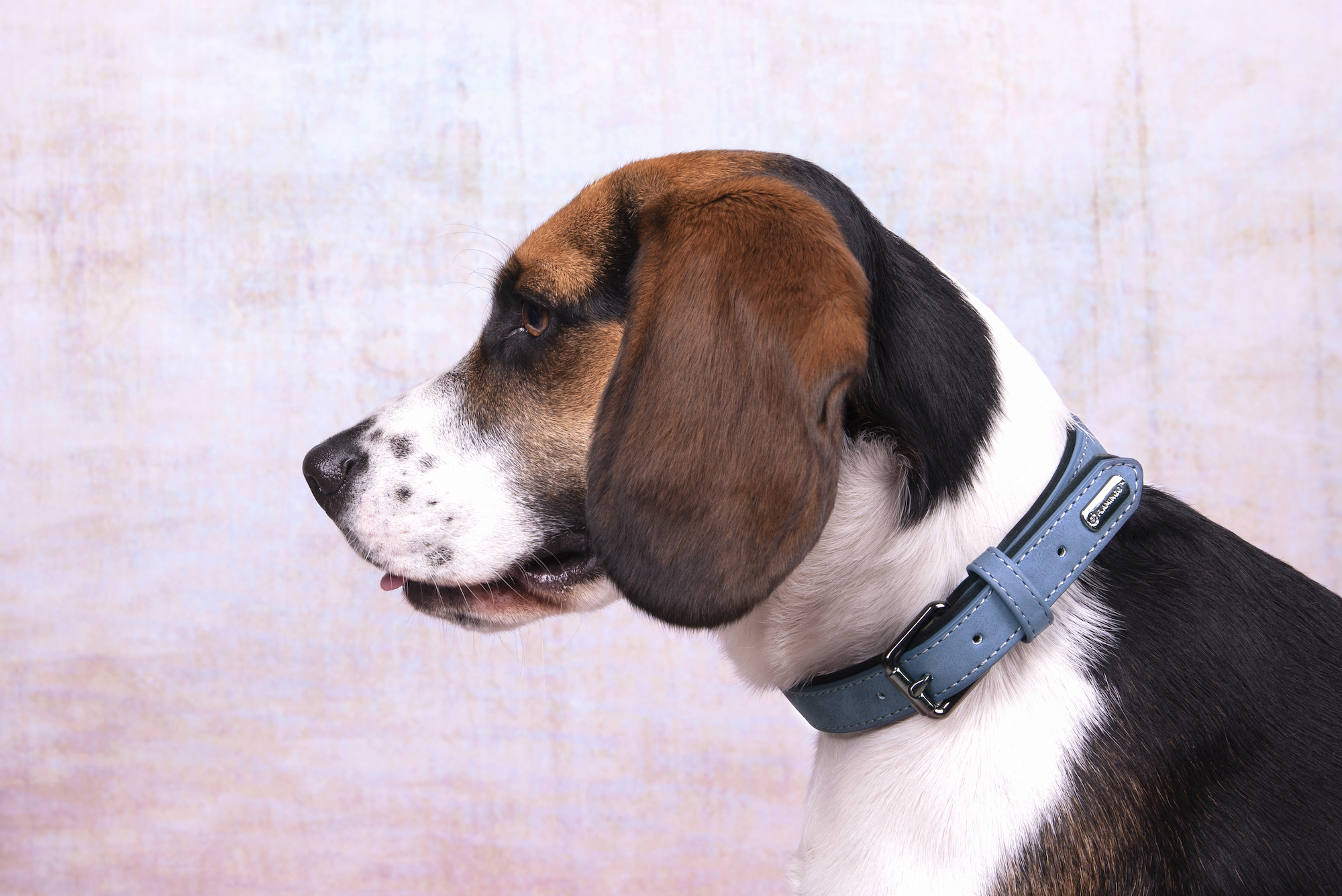 Flamingo Collar With neoprene Delu Blue