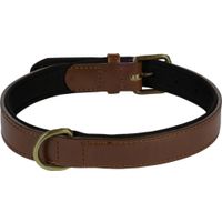 Flamingo Collare Con neoprene Lyabo Marrone