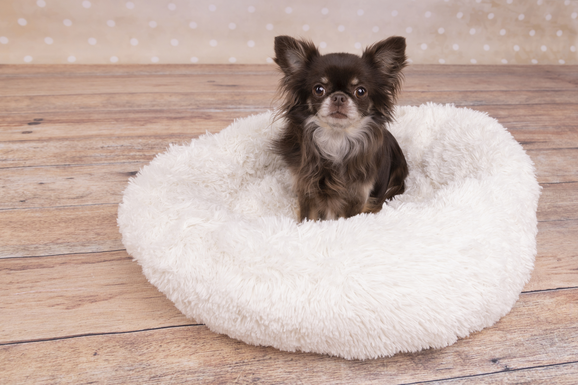 Flamingo Basket Krems Round White