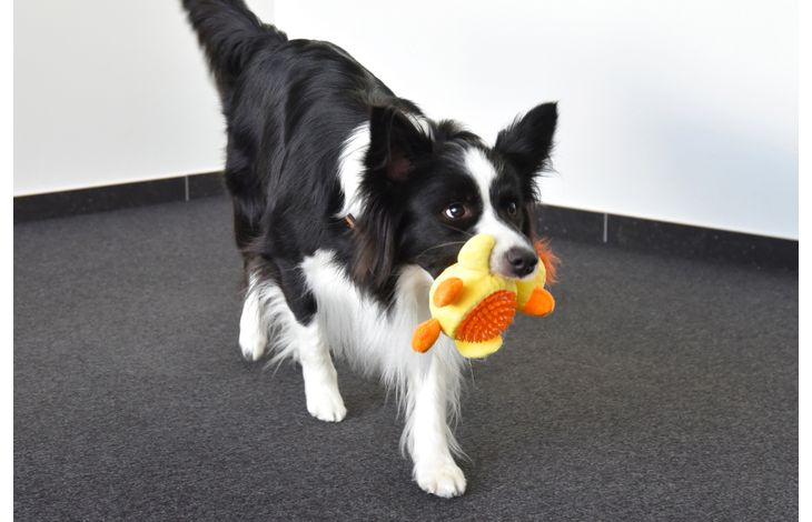 Flamingo Speelgoed Ando Eend met bal Geel