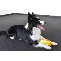 Flamingo Speelgoed Ando Eend met bal Geel