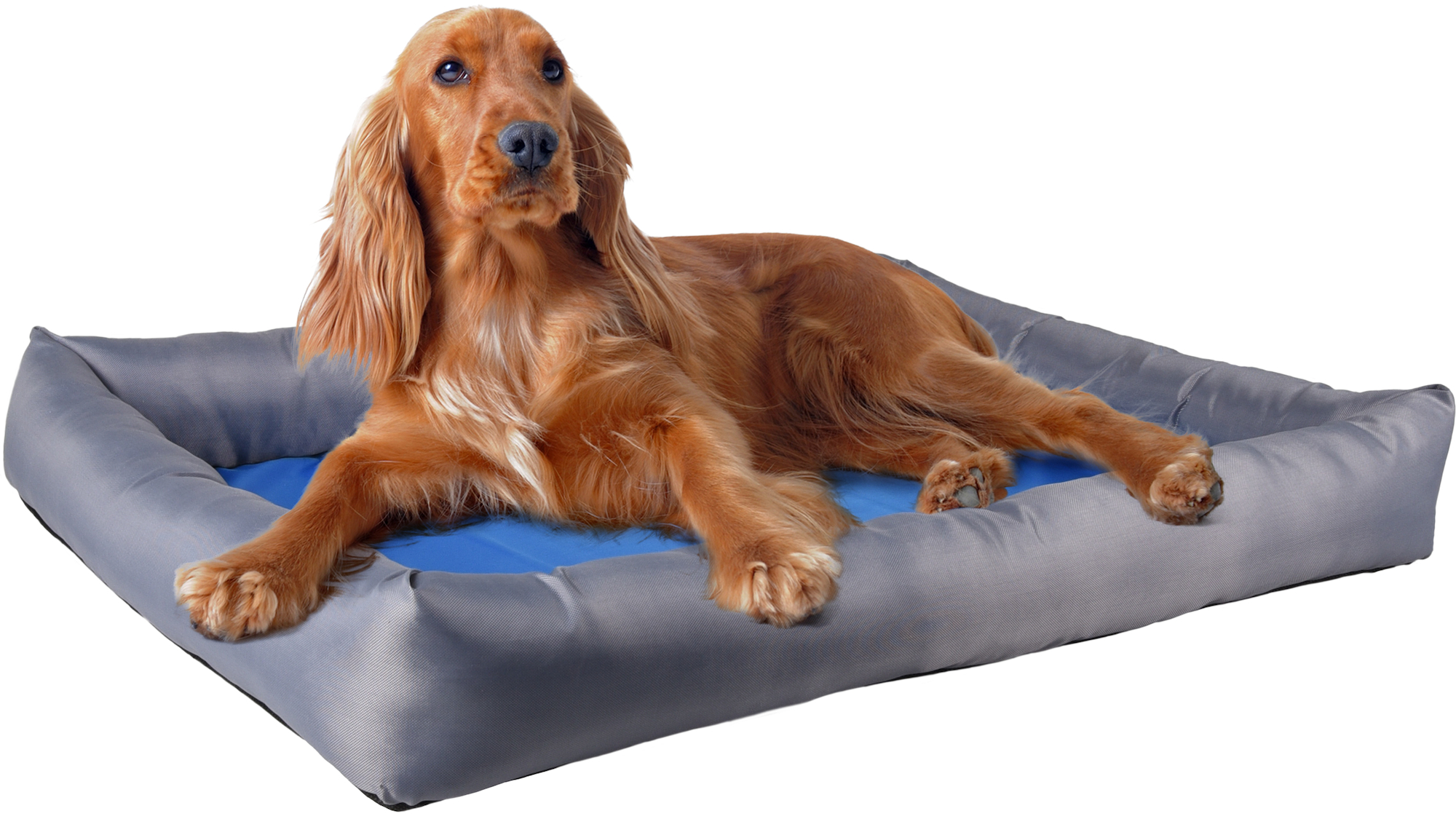 Flamingo Cooling basket Fresk Rectangle Grey & Blue