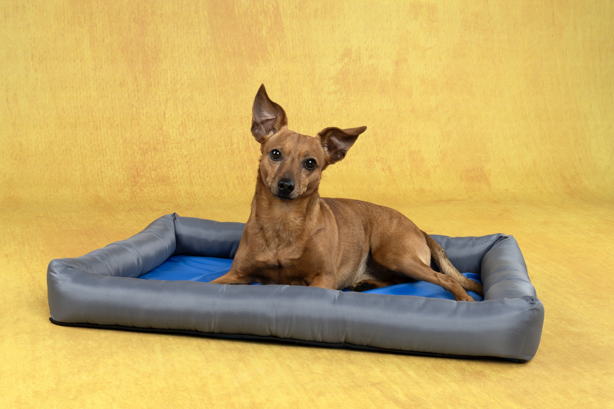 Flamingo Cooling basket Fresk Rectangle Grey & Blue