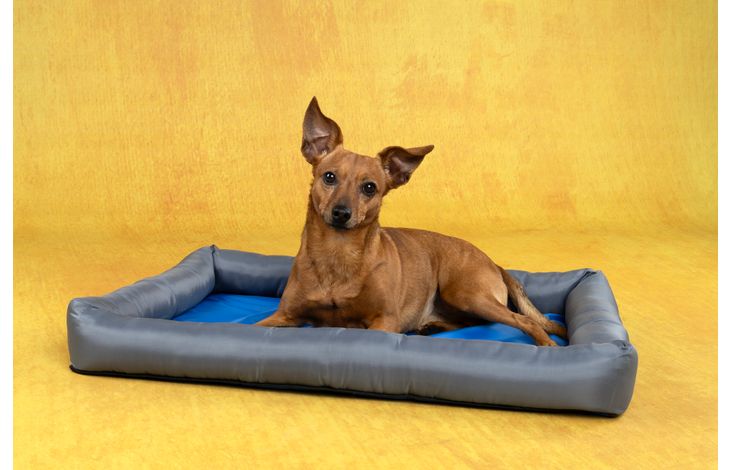 Flamingo Cooling basket Fresk Rectangle Grey & Blue