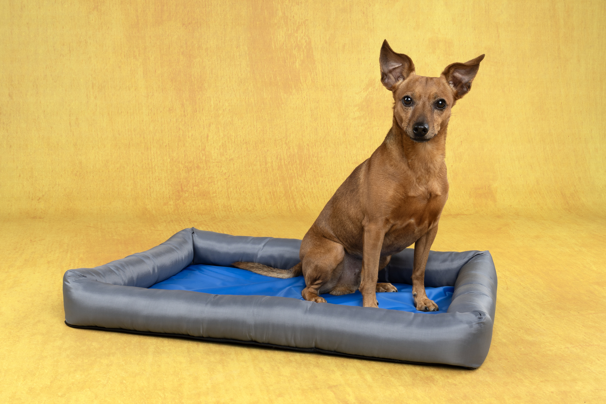 Flamingo Cooling basket Fresk Rectangle Grey & Blue