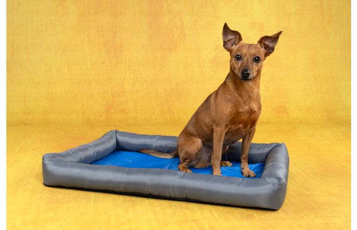 Flamingo Cooling basket Fresk Rectangle Grey & Blue