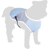 Flamingo Koeljas Frozen Blauw & Grijs