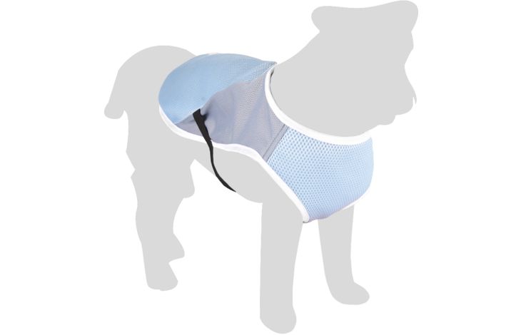 Flamingo Koeljas Frozen Blauw & Grijs
