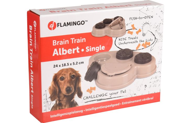 Flamingo Toy Brain train Albert  1 Grey