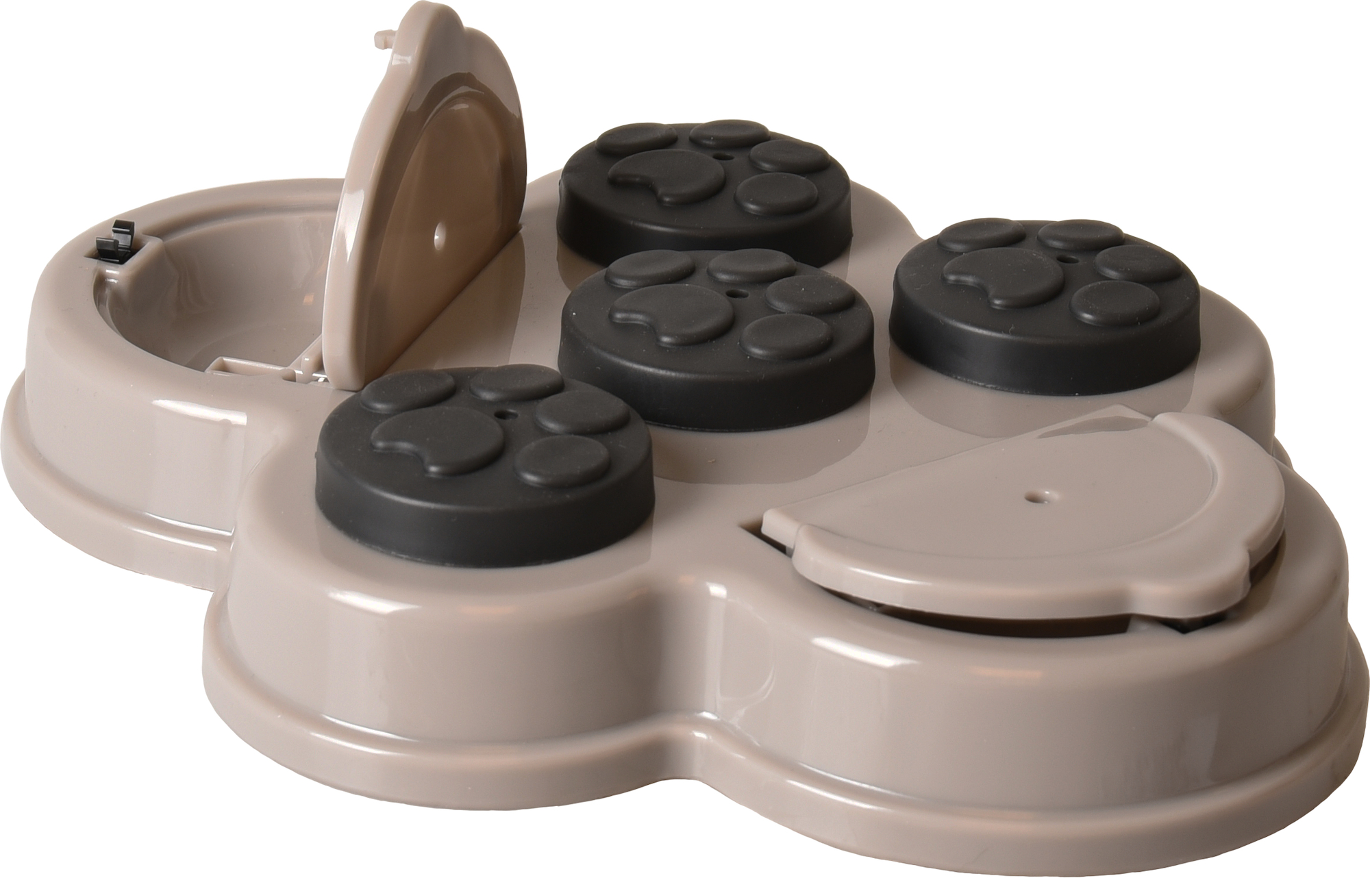 Flamingo Toy Brain train Albert  2 Grey