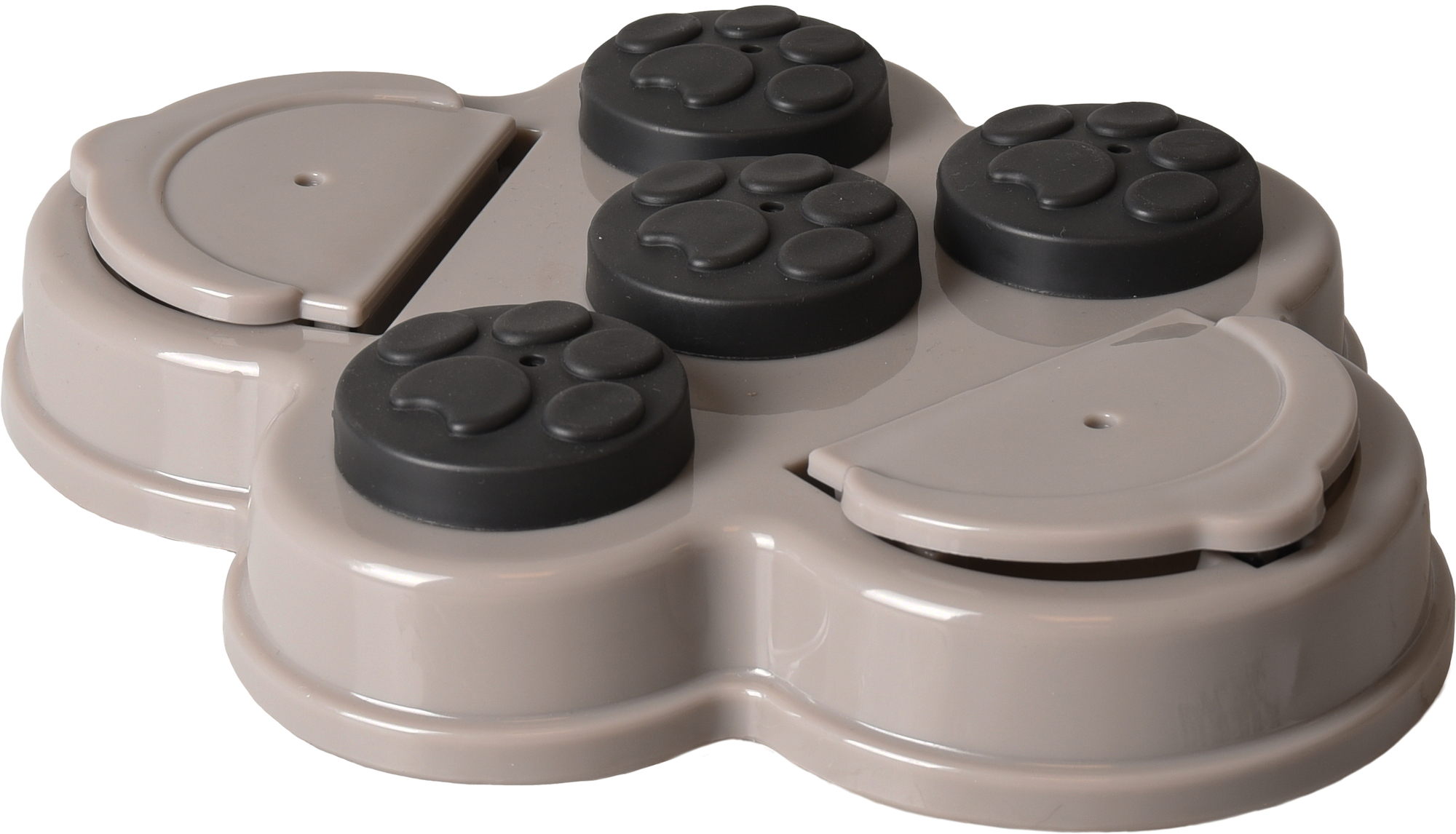 Flamingo Toy Brain train Albert  2 Grey