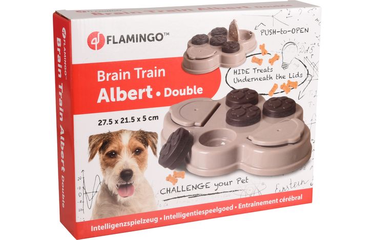 Flamingo Speelgoed Brain train Albert  2 Grijs