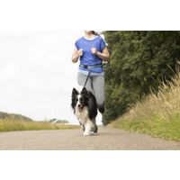 Flamingo Jogginglijn met heupriem Rono Blauw