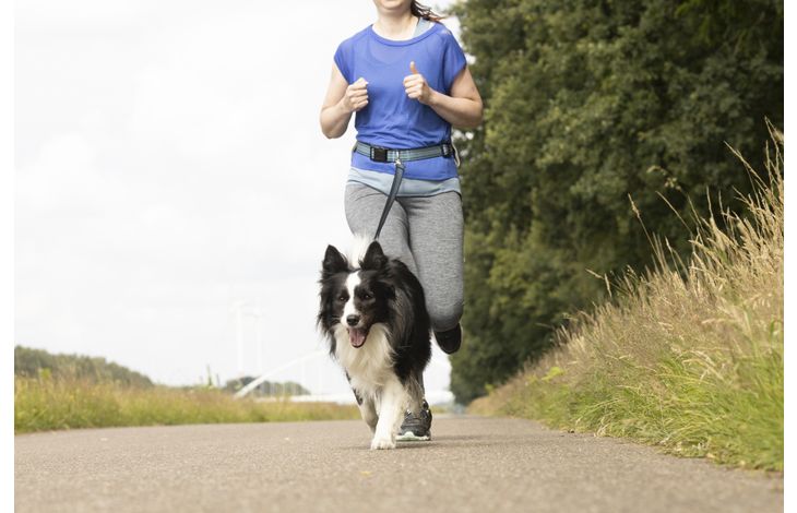 Flamingo Jogginglijn met heupriem Rono Blauw