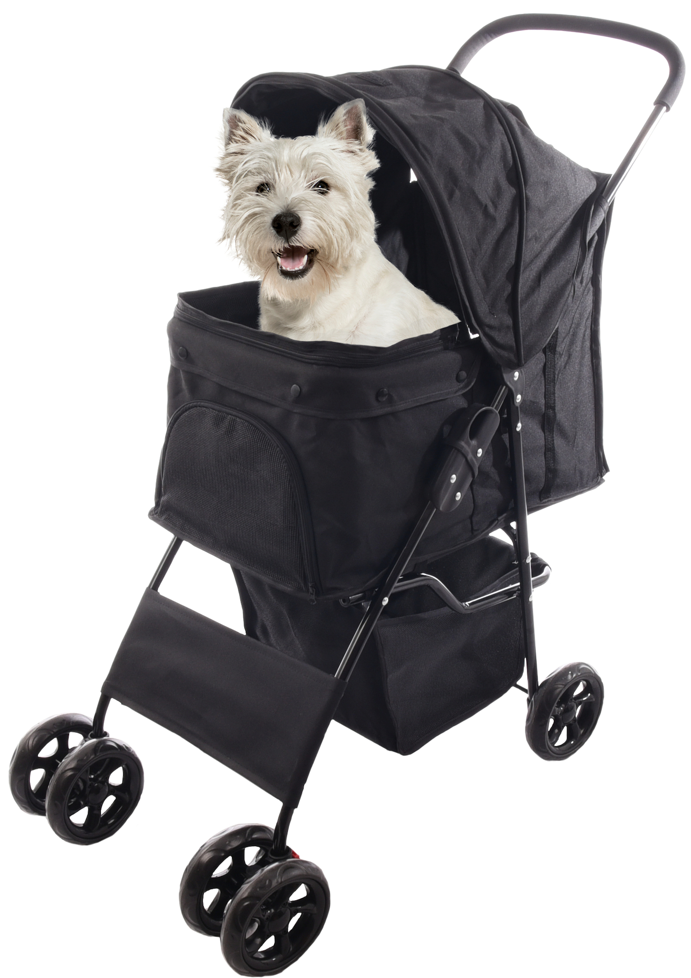 Flamingo Buggy Anda Black