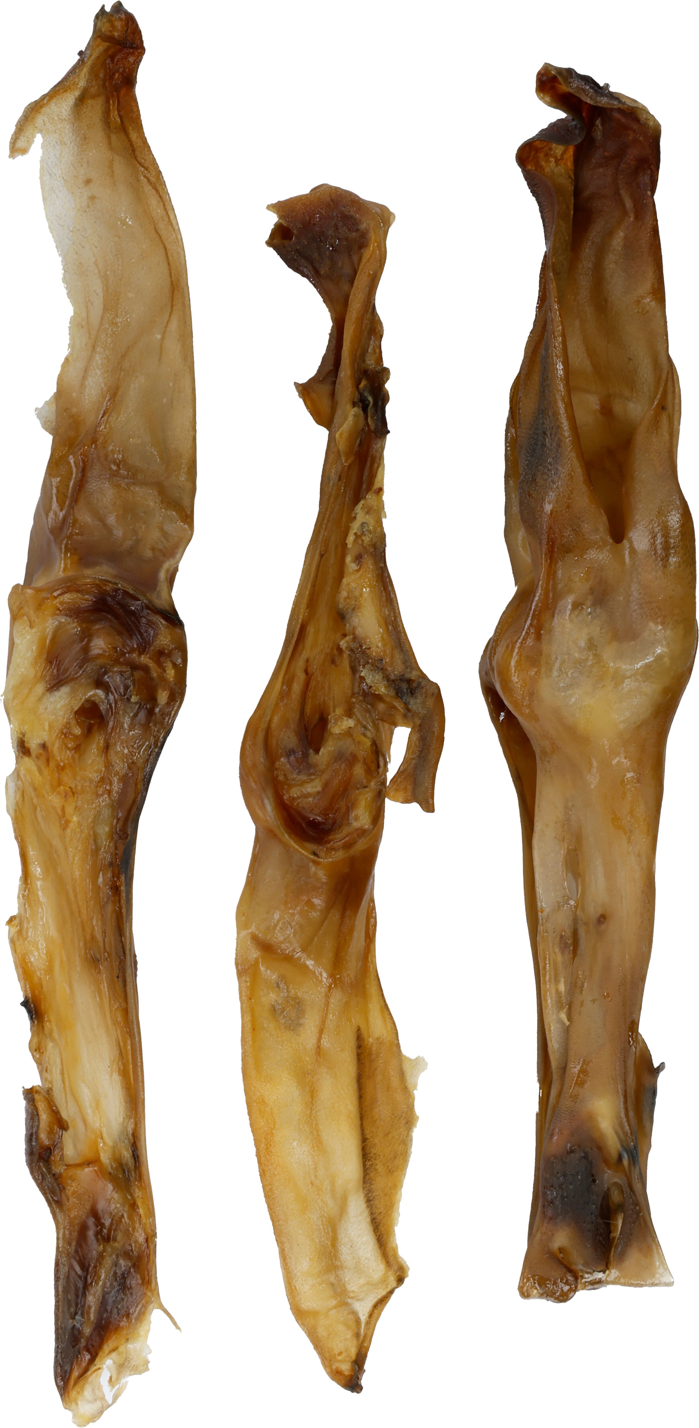 Flamingo Snacks Nature Rabbit ear