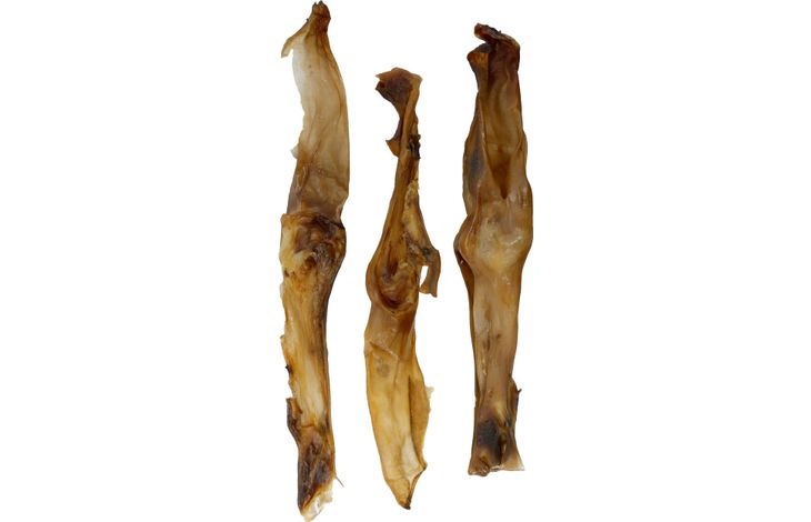 Flamingo Snacks Nature Rabbit ear