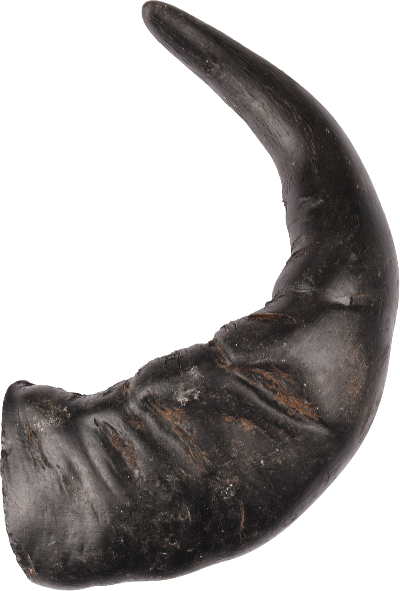 Flamingo Snacks Nature Büffelhorn large