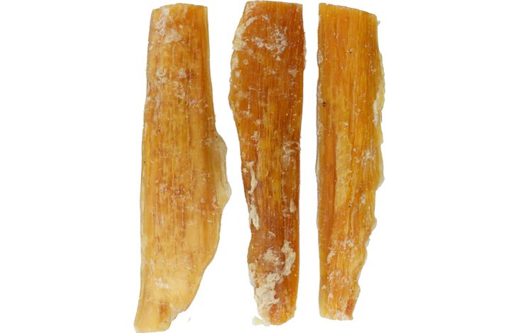 Flamingo Friandises Nature Bande de cou buffle