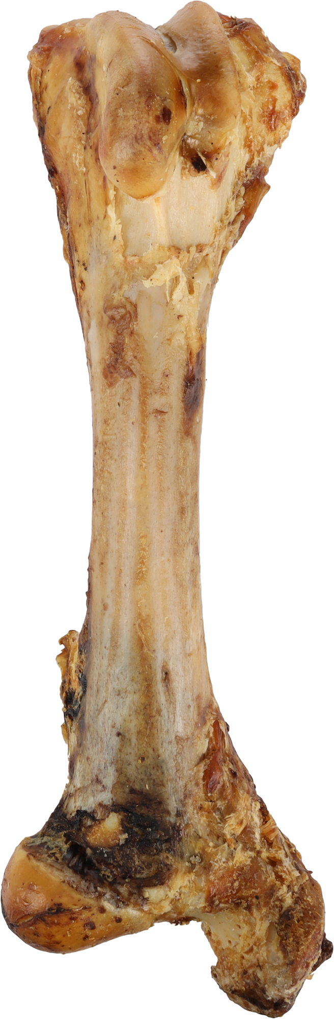 Flamingo Snacks Nature Tibia bone
