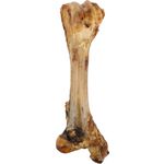 Snacks Nature Tibia bone
