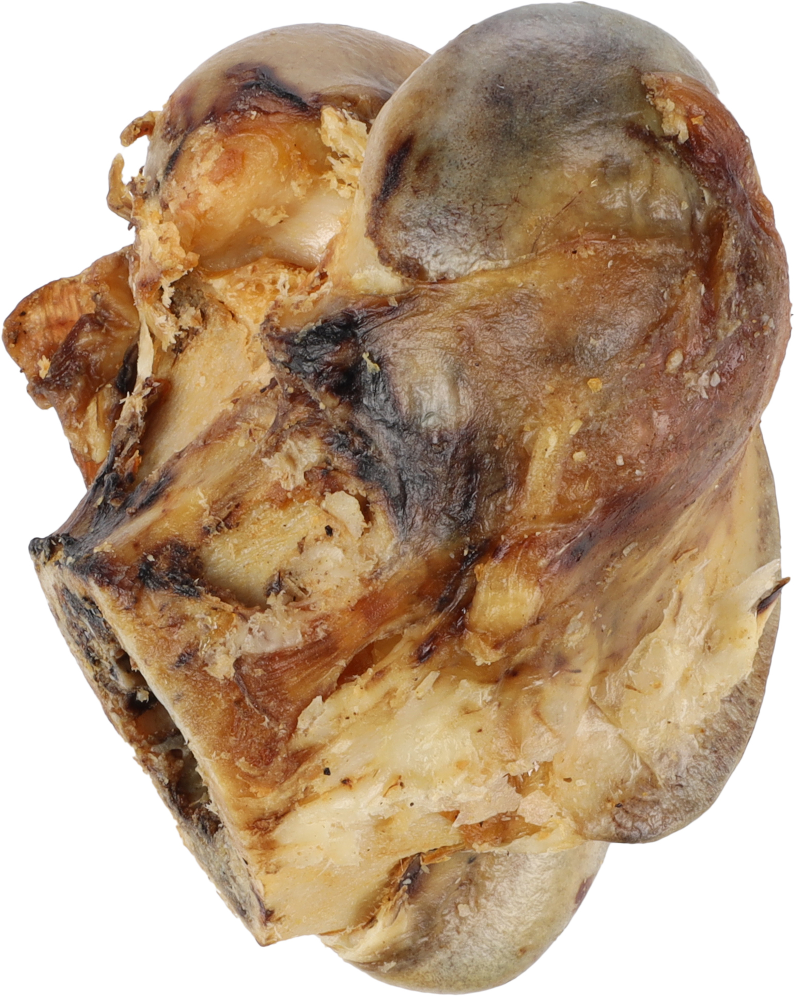 Flamingo Snacks Nature Tibia bone