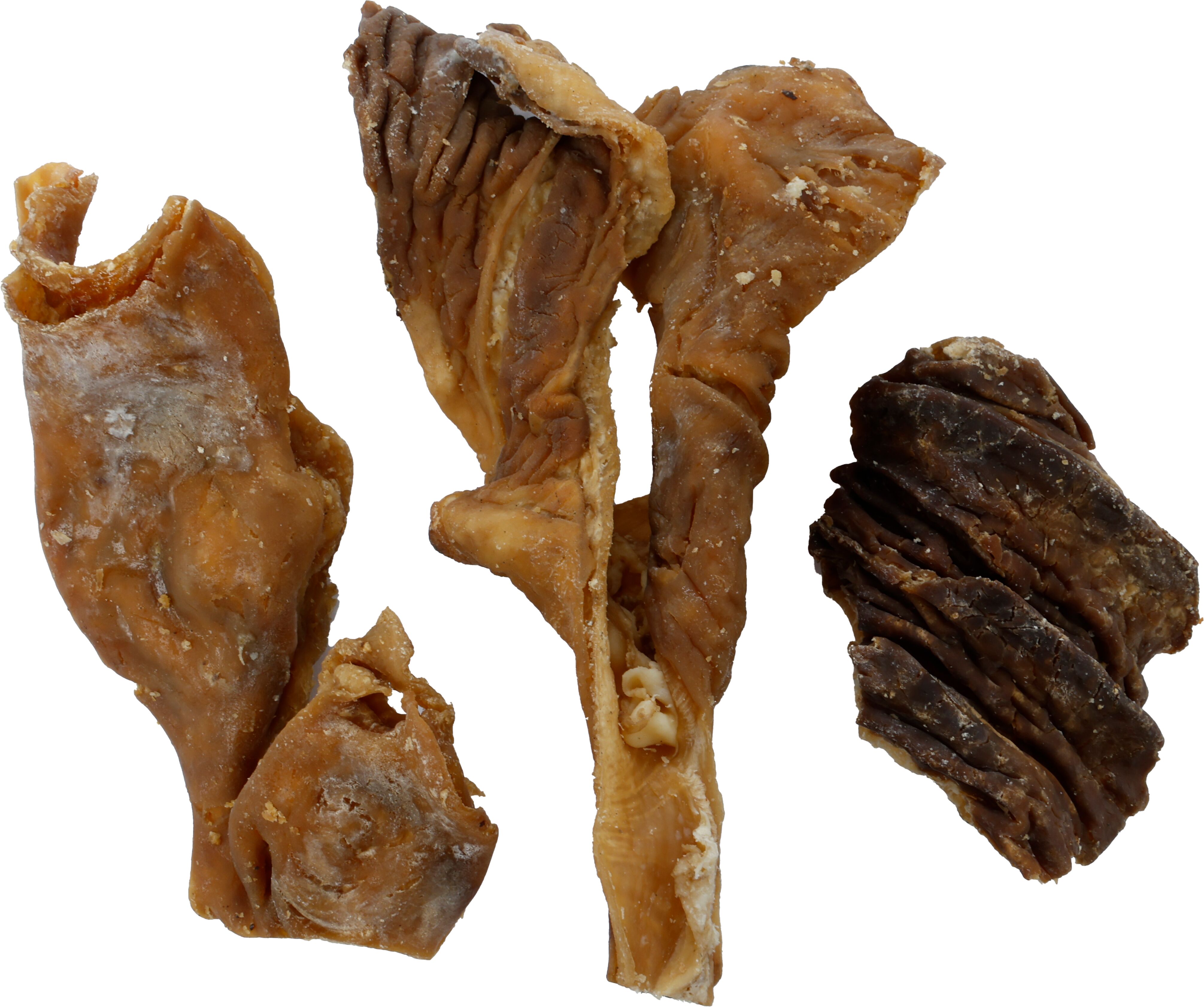 Flamingo Snacks Nature Buffalo abomasum