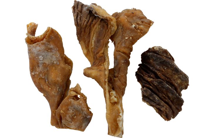 Flamingo Snacks Nature Buffalo abomasum