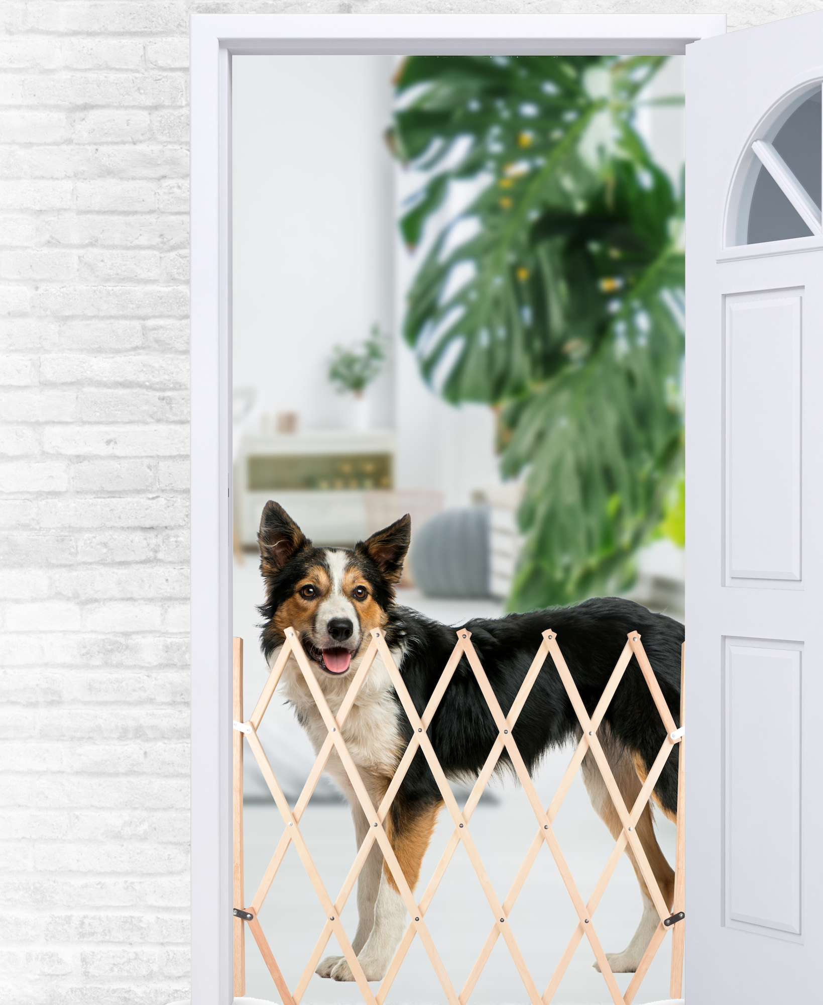 Flamingo Dog barrier Monti Beige