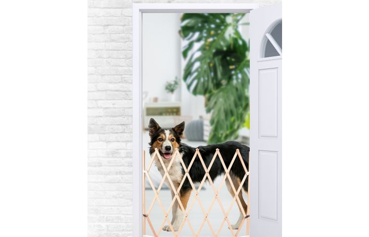 Flamingo Veiligheidshek Monti Beige