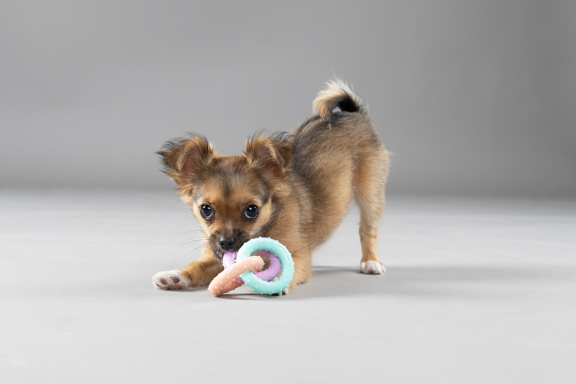 Flamingo Toy Puppy Loekie Elephant & Bone & Ring Mix