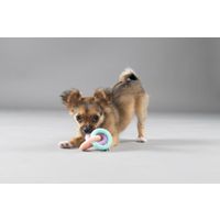 Flamingo Toy Puppy Loekie Elephant & Bone & Ring Mix
