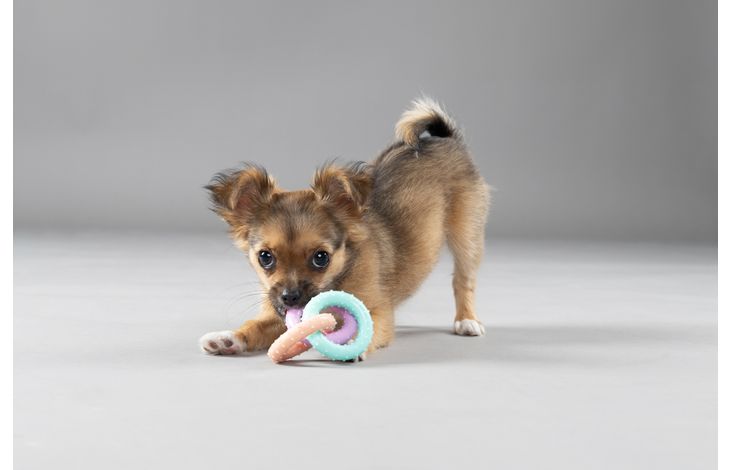 Flamingo Toy Puppy Loekie Elephant & Bone & Ring Mix