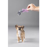 Flamingo Toy Puppy Loekie Elephant & Bone & Ring Mix