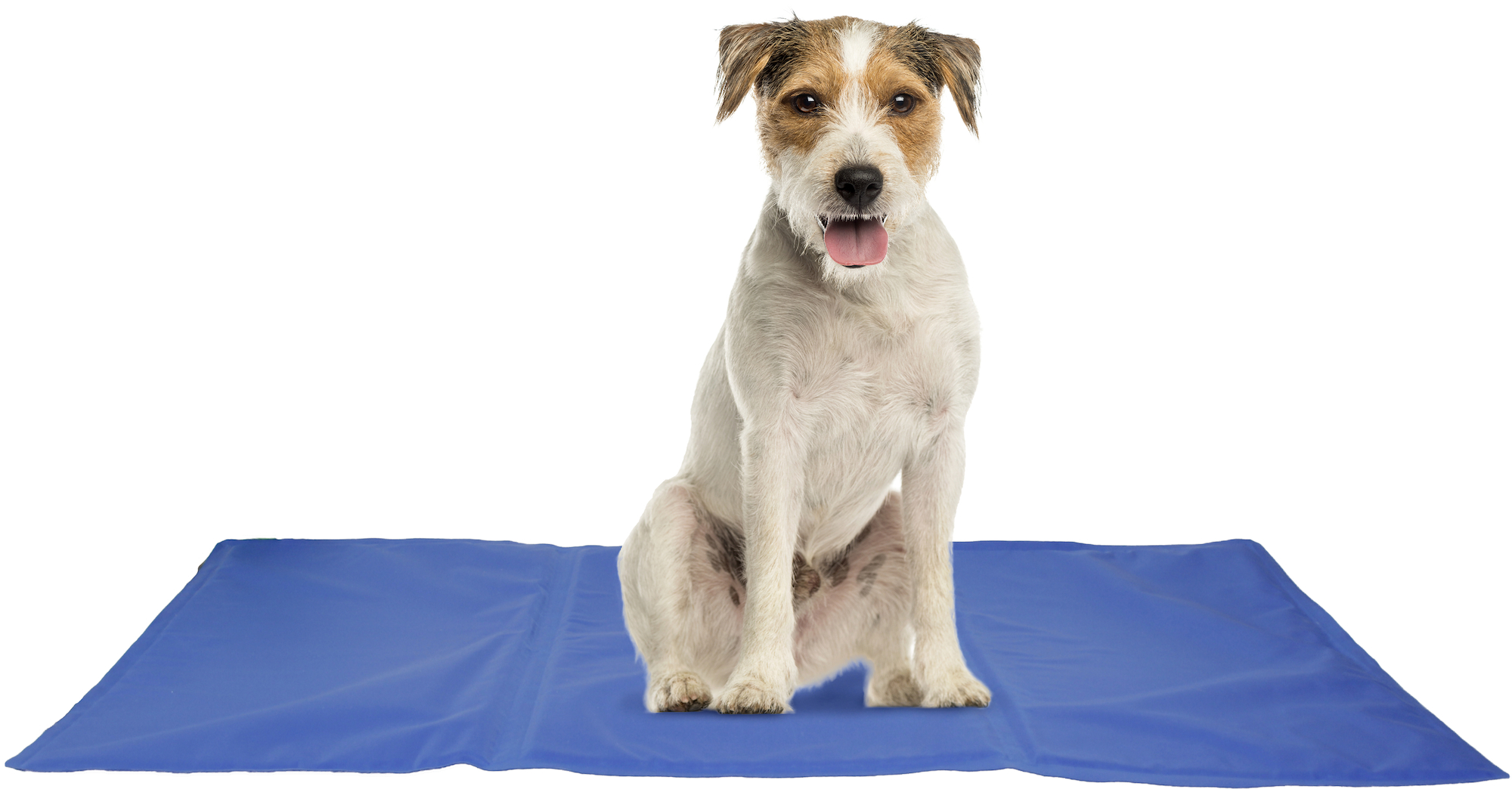 Flamingo Cooling pad Frosty Rectangle Blue