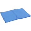 Koelmat Frosty Rechthoekig Blauw