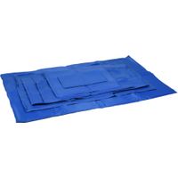 Flamingo Koelmat Frosty Rechthoekig Blauw