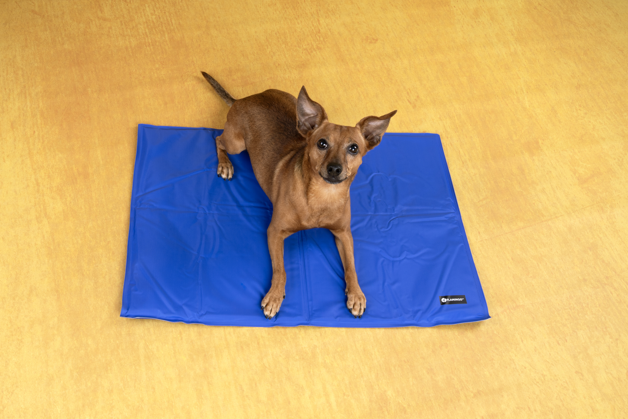Flamingo Cooling pad Frosty Rectangle Blue