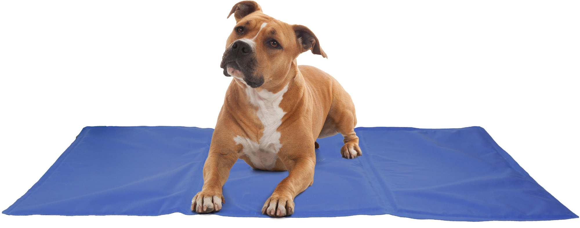 Flamingo Cooling pad Frosty Rectangle Blue