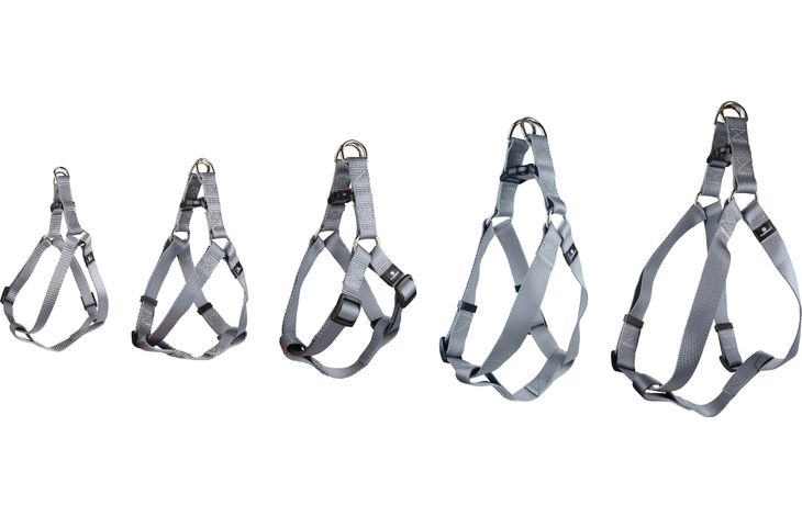 Flamingo Harnais Step&Go Ziggi Gris