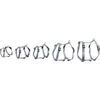 Flamingo Pettorina H-forma Ziggi Grigio