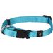  Halsband  Ziggi Turkoois