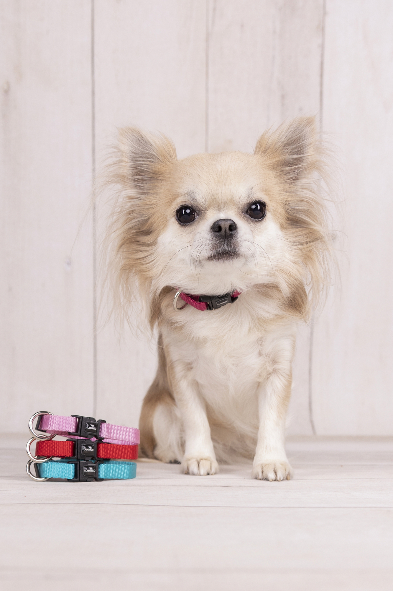 Flamingo Collar Ziggi Turquoise