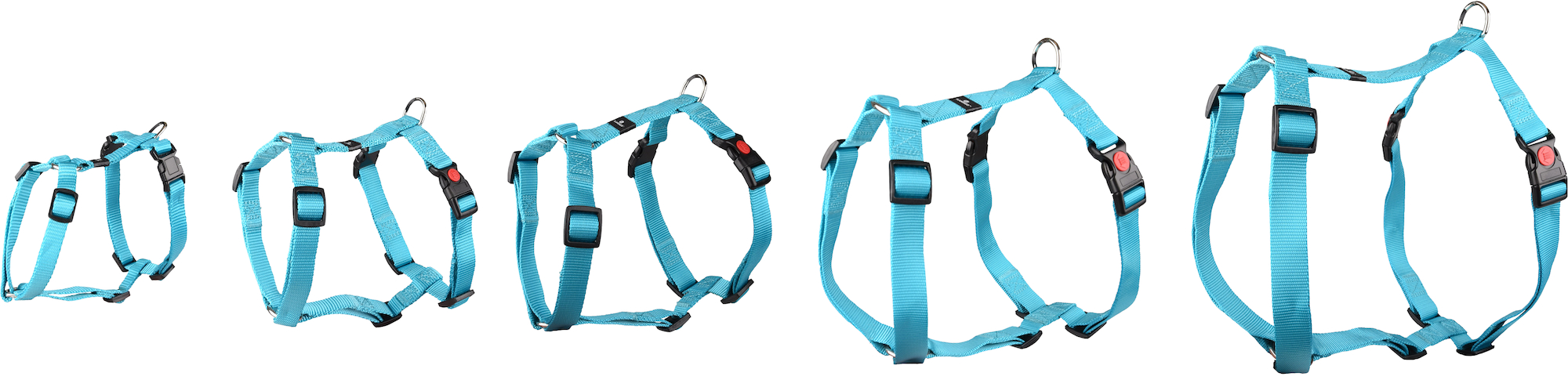 Flamingo Harness H-shape Ziggi Turquoise