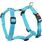 Harnais Forme en H Ziggi Turquoise
