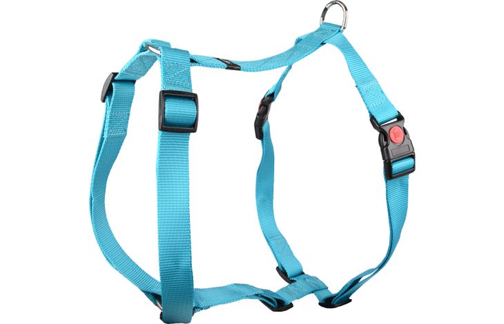 Flamingo Harness H-shape Ziggi Turquoise