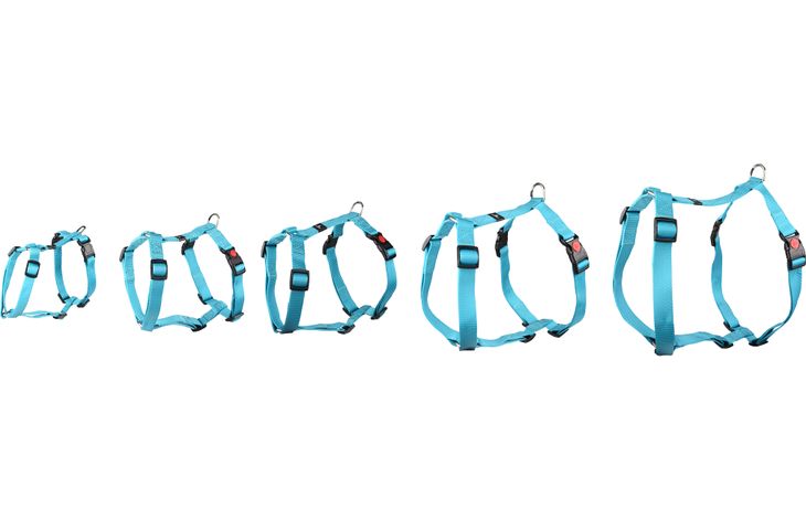 Flamingo Harness H-shape Ziggi Turquoise
