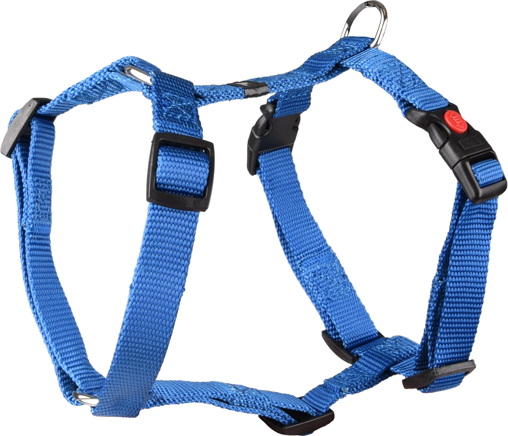Flamingo Harness H-shape Ziggi Blue