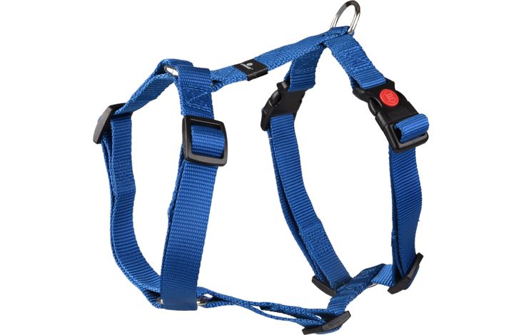 Flamingo Harness H-shape Ziggi Blue