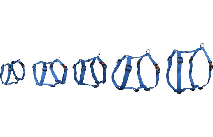 Flamingo Harness H-shape Ziggi Blue